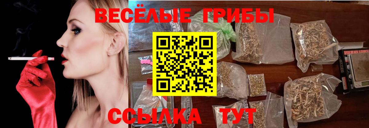 Псилоцибиновые грибы Psilocybe  Вход с VPN  Добрянка 